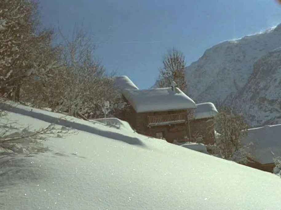 Petit Chalet De Montagne Mizoen Holiday home